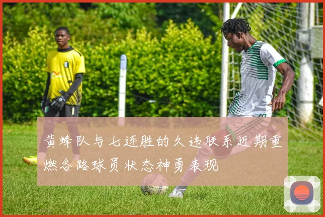 黄蜂队与七连胜的久违联系近期重燃各路球员状态神勇表现