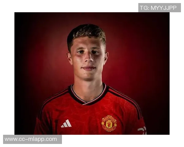 英媒称威尔士主帅贝拉米推荐拜仁关注卡迪夫城19岁后卫劳勒 英媒称威尔士主帅贝拉米推荐拜仁关注卡迪夫城19岁后卫劳勒